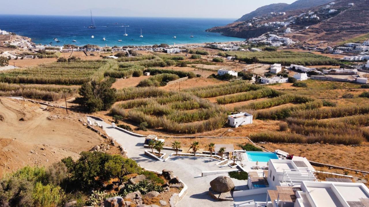 Mykonos4Islands Seaside Homes And Suites Playa Playa Kalo Livadi Exterior foto